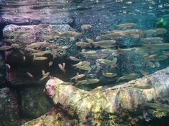 -沈阳海洋探索中心