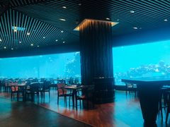 -海棠湾洲际-涛·海底餐厅·美人鱼·自助餐·海底隧道