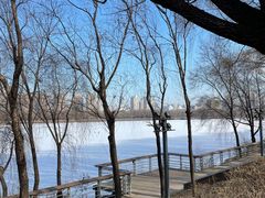 -长白岛森林公园