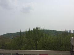 -武汉大学-樱园