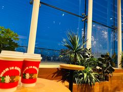 -Seesaw Coffee(朝阳大悦城店)