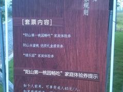 -田园东方蜜桃村的田野营地