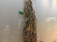 -广东中医药博物馆