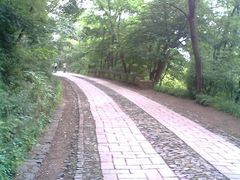 -紫金山天文台
