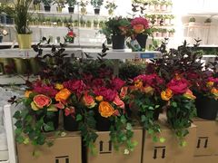 -宜家家居(西安未央商场店)