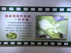 -上海昆虫博物馆