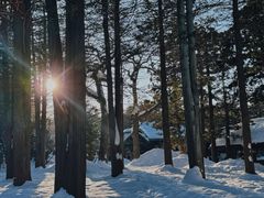 -北海道神宫