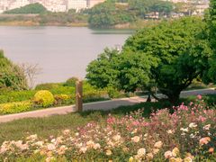 -立新湖公园