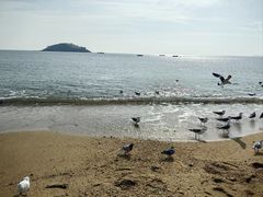 -傅家庄公园