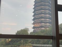 景观位-听松楼·花园酒店·自助餐厅(红梅公园店)