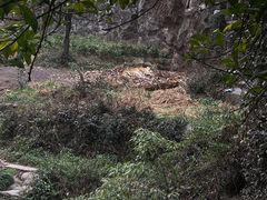 -杭州动物园