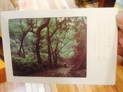 -猫的天空之城概念书店(杭州南宋御街店)