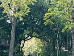 -苏州河梦清园环保主题公园