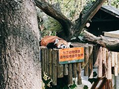 -云南野生动物园