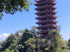 -缙云山景区