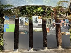 -怀托摩萤火虫洞