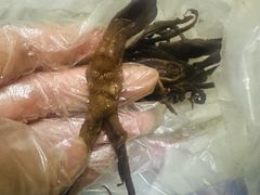 -张鸭子重庆特产卤味小吃(未来国际店)