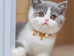 -奥体中心游泳馆