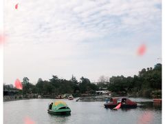-桂湖森林公园