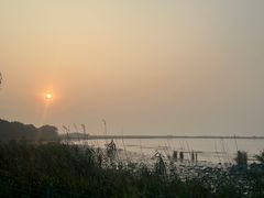 -西京湾花海