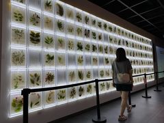 -广东中医药博物馆