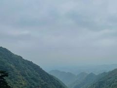 -东天目山风景区
