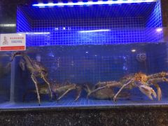 -名苑皇宫酒家(来魅力壁画村店)