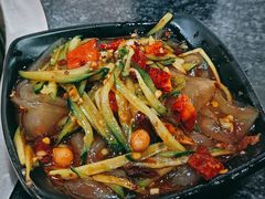 东北大拉皮-炮爷东北铁锅炖(棠安路店)