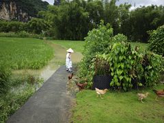 -明仕田园