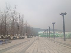 -百林公园-两江幸福广场