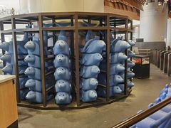 -TheRink大零溜冰场(IFS国金中心店)