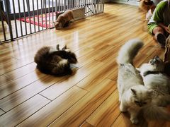 -听TA说宠咖·宠物生活馆(天韵水岸店)