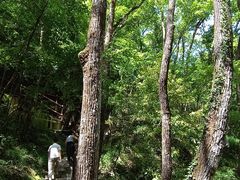 -苍龙峡风景区