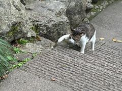 -灵顺寺