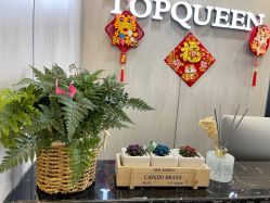 点击看大图 -TOP HAIR SALON
