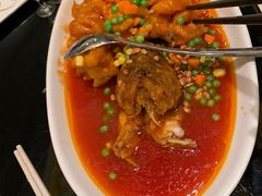 松鼠桂鱼-新南华大酒店(长寿店)