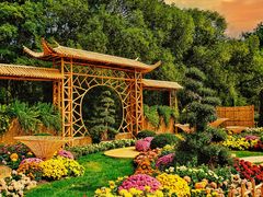 -上海共青森林公园