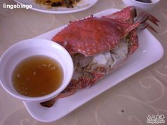梭子蟹-海岛渔村大酒店(云霄路店)