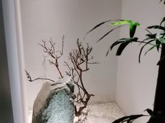 -金色艳阳天•粤菜 淮扬菜(古平岗店)