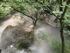 -牛背梁国家森林公园