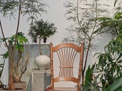 -自由生长植物工作室(深港花卉中心店)