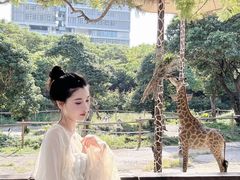 -深圳野生动物园