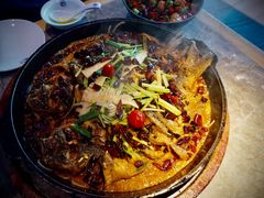 -老板恋上鱼(恒隆广场店)