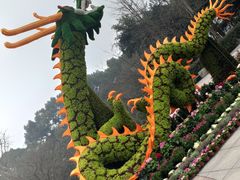 -南山植物园