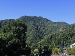 -牛背梁国家森林公园