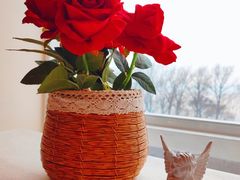 -圣彼得堡观江俄餐厅(中央大街黑金冠店)