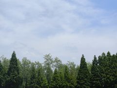 -合肥滨湖国家森林公园