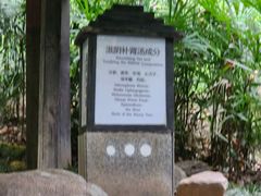 -融汇温泉