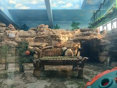 -石家庄市动物园