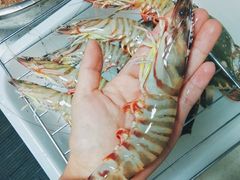 -青岛沙子口国家中心渔港